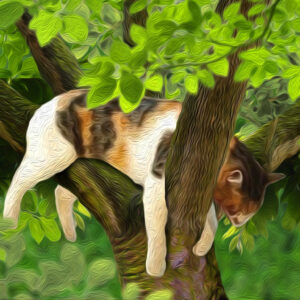 Side Quests for your Tabletop RPG game, ready to play!